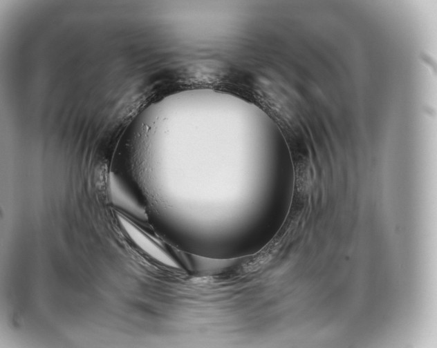 X0000097300425200802221340