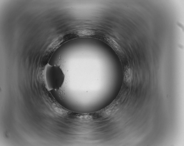X0000097300426200802221340