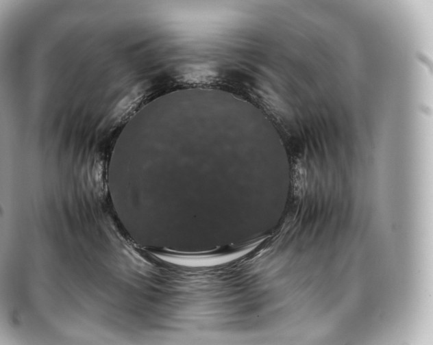 X0000097300428200802221340