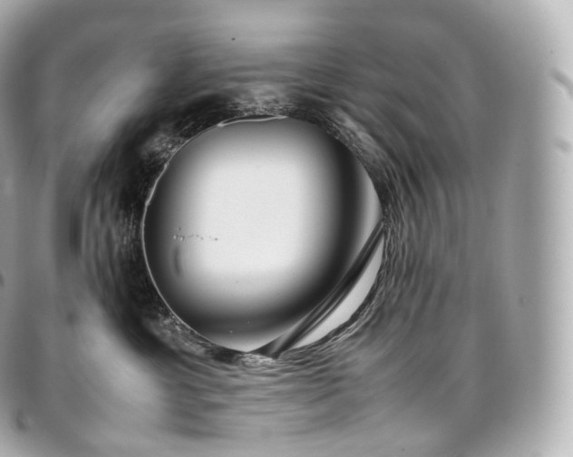 X0000097300429200802221340