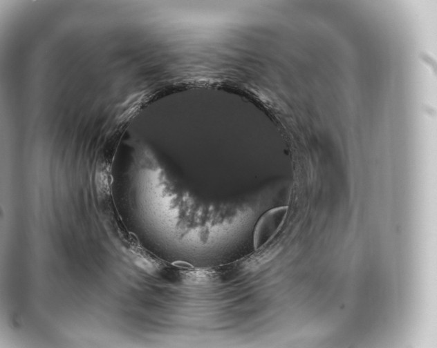 X0000097300432200802221340