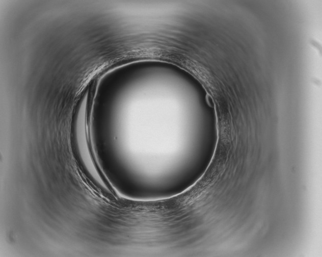 X0000097300434200802221339