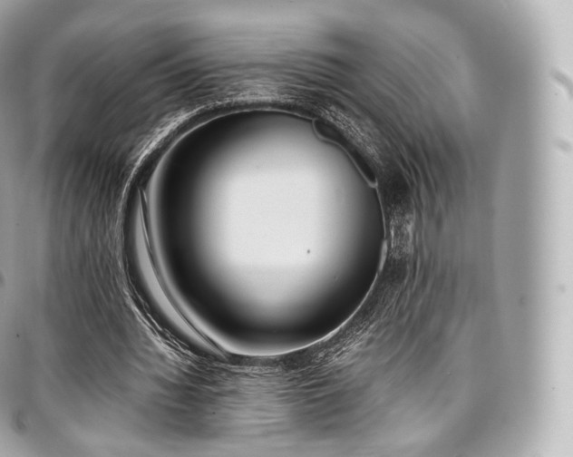 X0000097300436200802221339