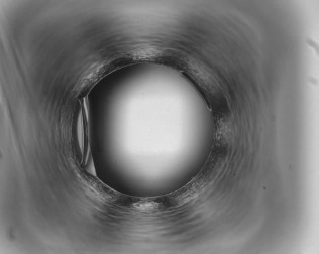 X0000097300452200802221339