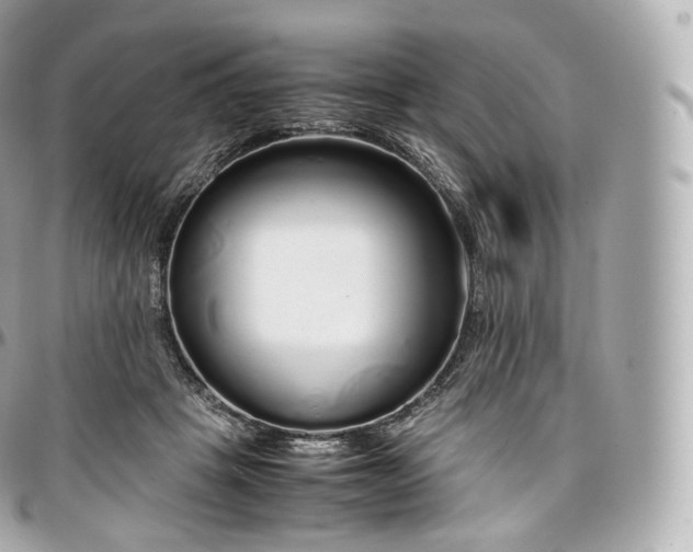 X0000097300457200802221339