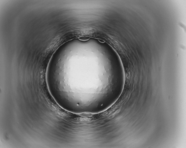 X0000097300462200802221339