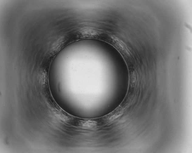 X0000097300463200802221339
