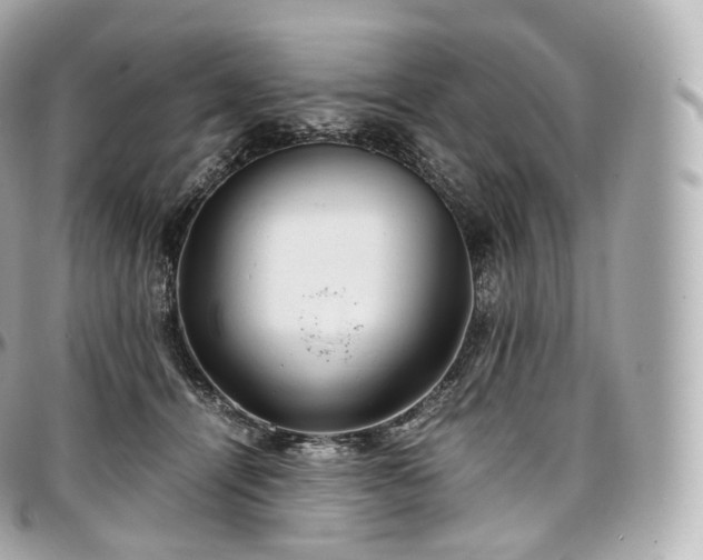 X0000097300464200802221340