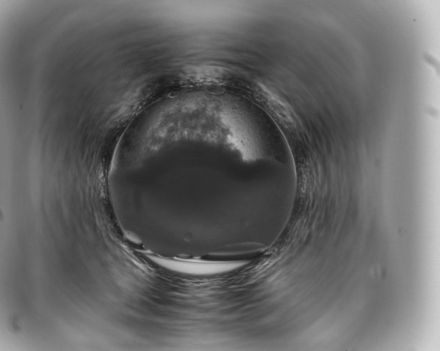 X0000097300465200802221340