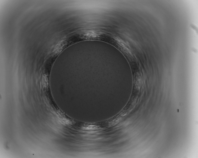 X0000097300467200802221340