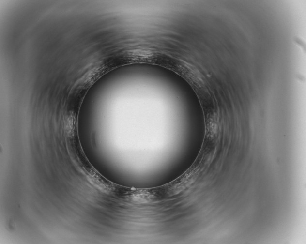 X0000097300468200802221340