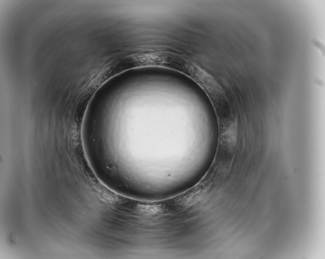 X0000097300469200802221340