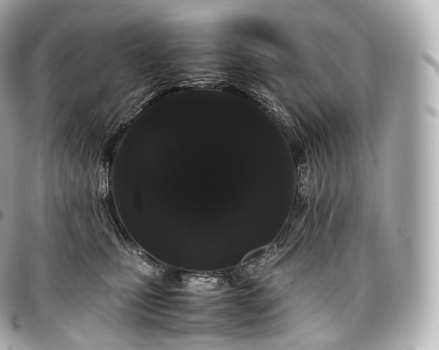 X0000097300471200802221340
