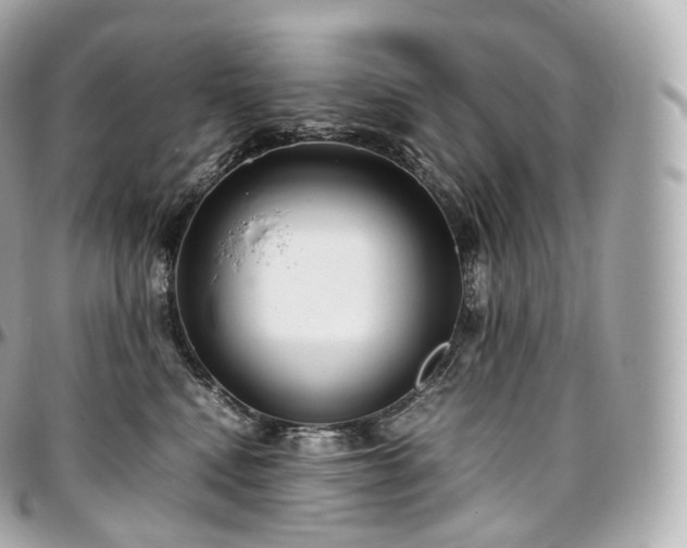 X0000097300472200802221340
