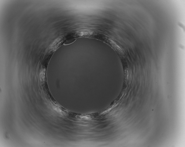 X0000097300475200802221340