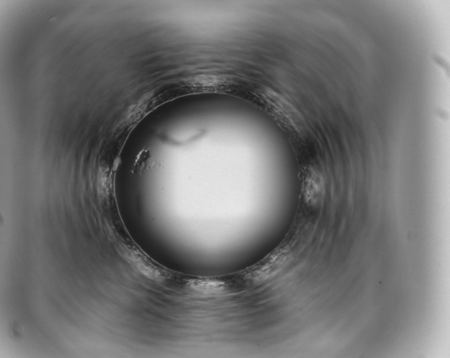 X0000097300476200802221340