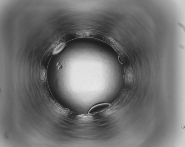 X0000097300477200802221340