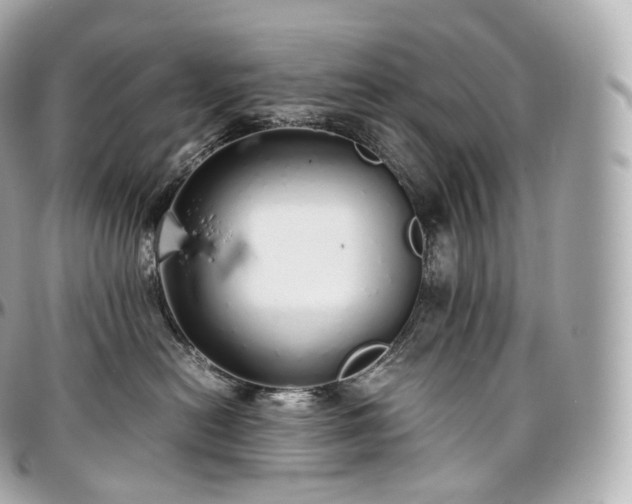 X0000097300478200802221340