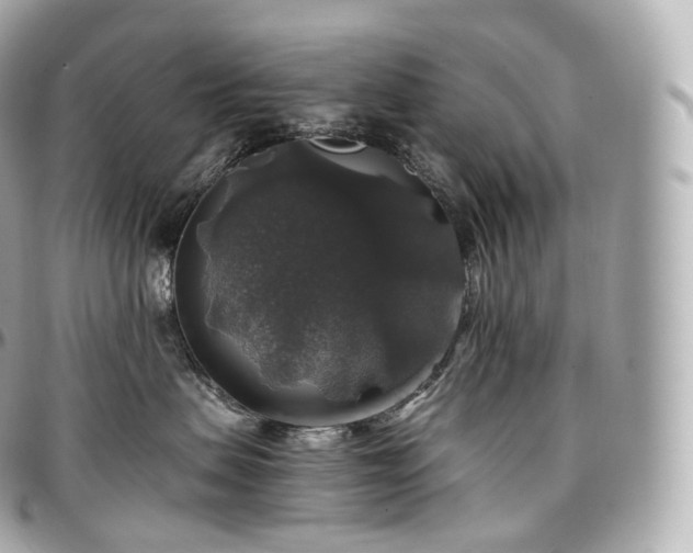 X0000097300479200802221340