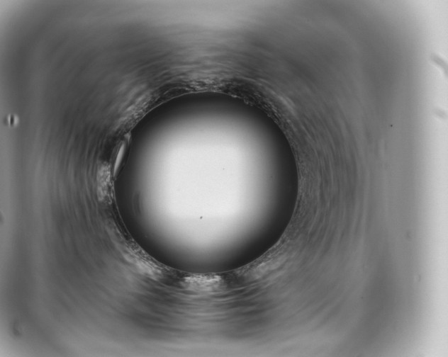 X0000097300480200802221340