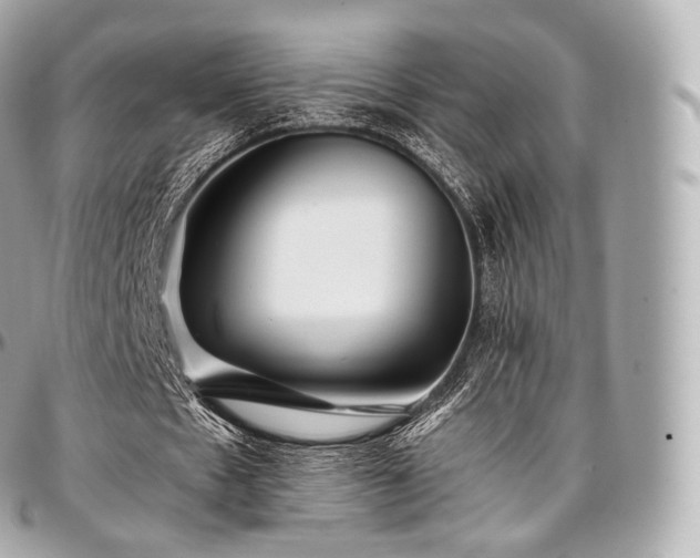 X0000097300481200802221339