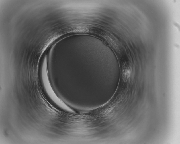 X0000097300484200802221339