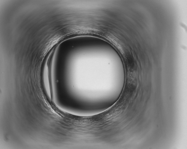 X0000097300485200802221339
