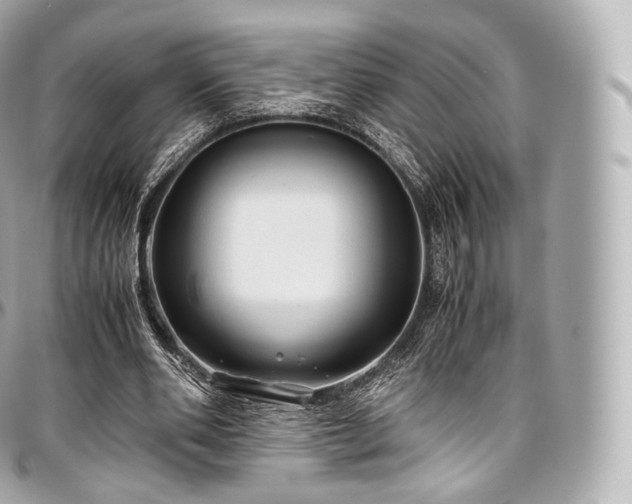 X0000097300486200802221339