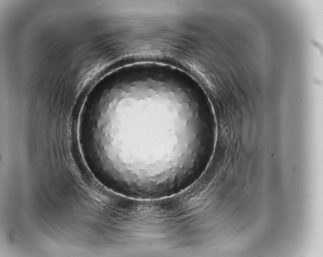 X0000097300487200802221339