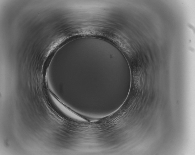 X0000097300488200802221339