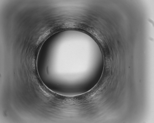 X0000097300489200802221339