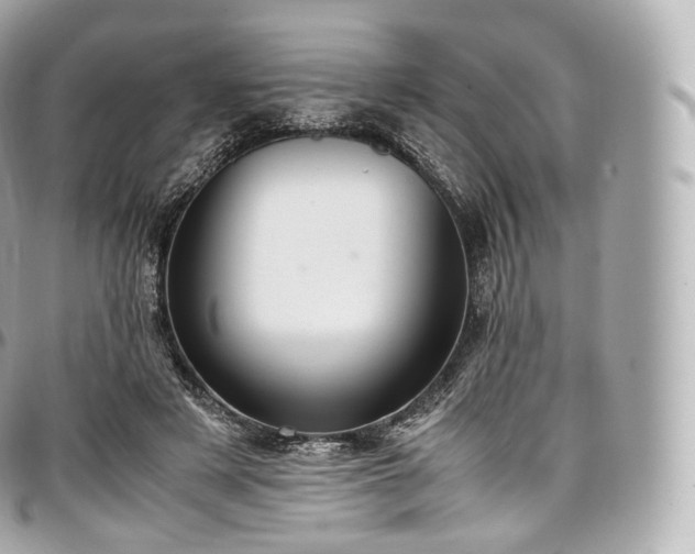 X0000097300497200802221339