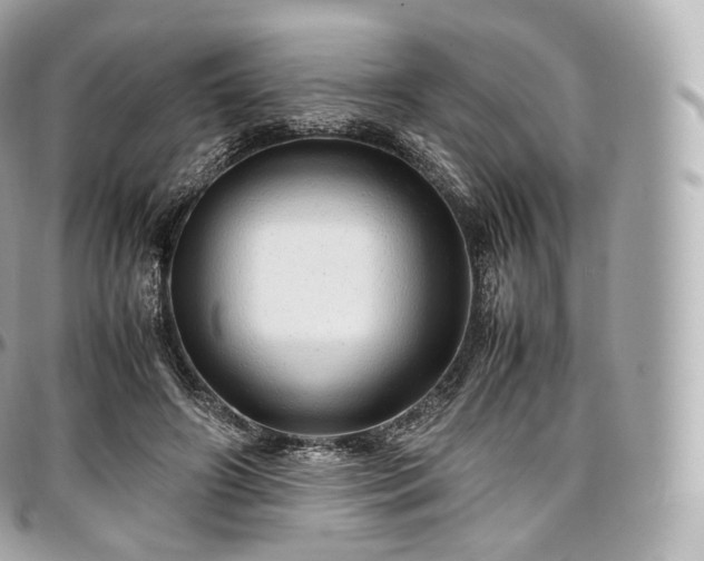 X0000097300498200802221339