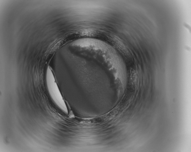 X0000097300502200802221339