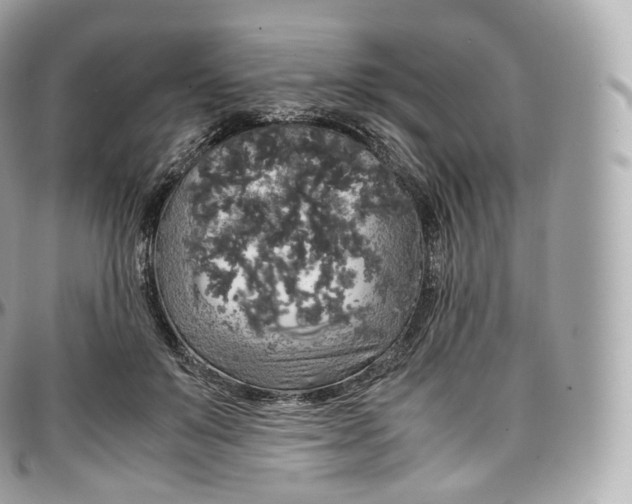 X0000097300503200802221339