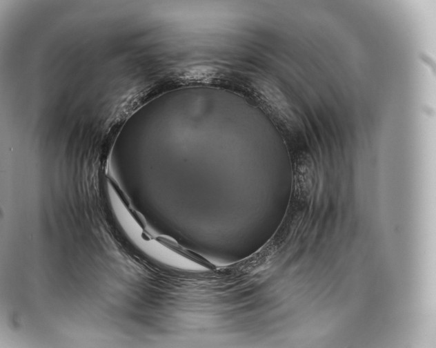 X0000097300504200802221339