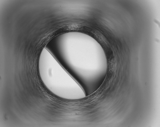 X0000097300505200802221339