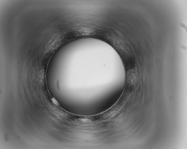 X0000097300509200802221339