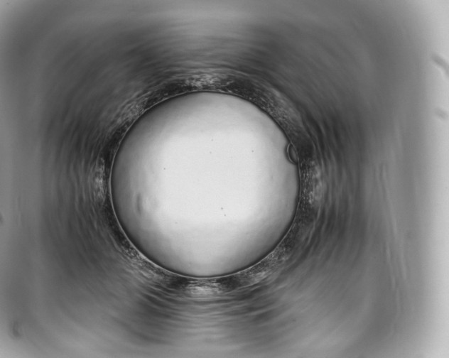 X0000097300510200802221339