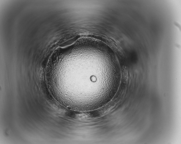 X0000097300511200802221338