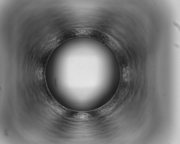 X0000097300514200802221338