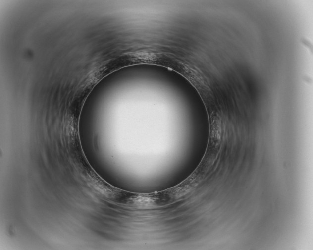 X0000097300518200802221338