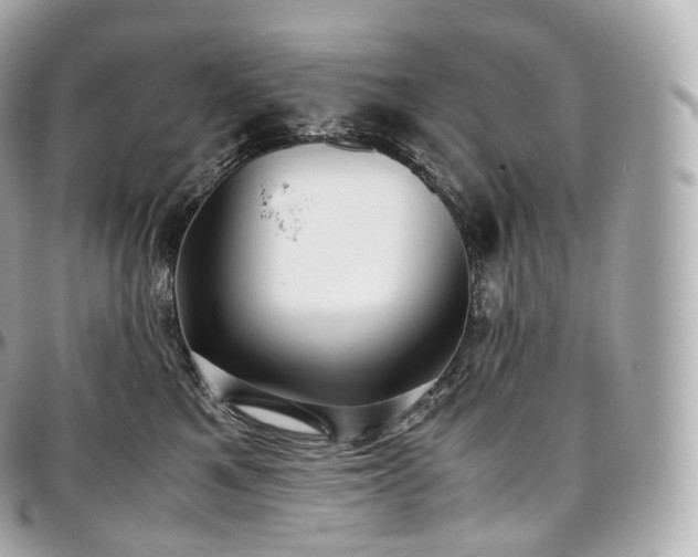 X0000097300521200802221338