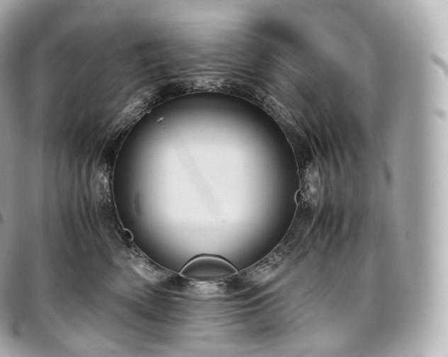 X0000097300522200802221338