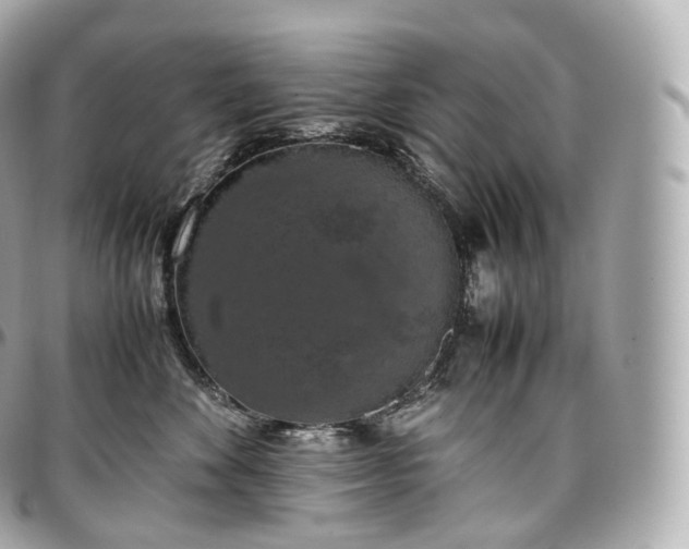 X0000097300524200802221338
