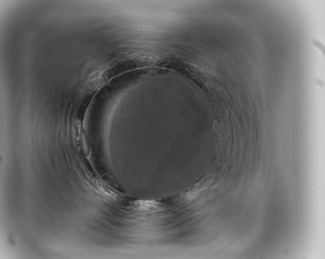 X0000097300528200802221338