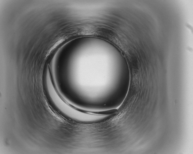 X0000097300530200802221337