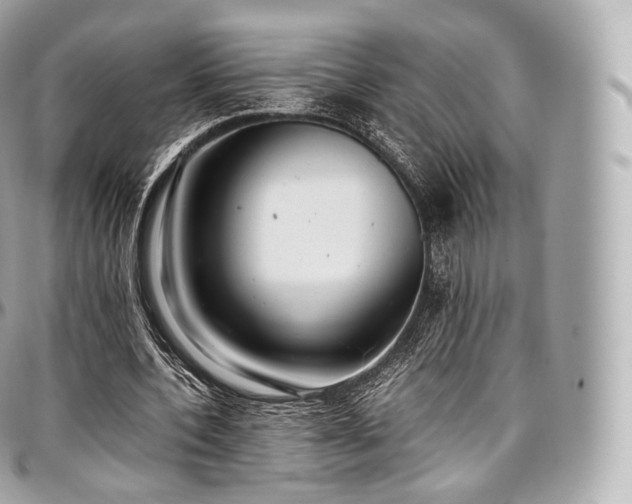 X0000097300532200802221338