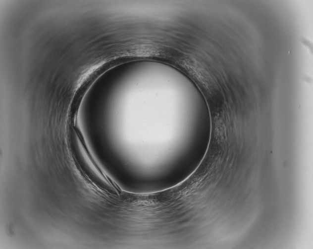 X0000097300536200802221338