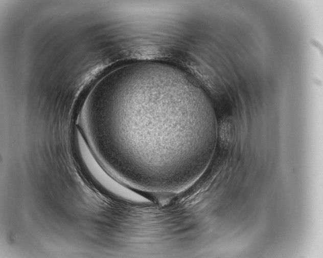 X0000097300540200802221338